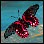 ���������� �������. ��� ����� �����. ������������� �������