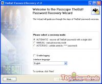 Посмотреть скриншот TheBat! Password Recovery