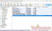 Посмотреть скриншот Download Master