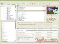 Посмотреть скриншот FLV to AVI Converter