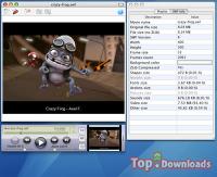 Посмотреть скриншот SWF & FLV Player for Mac