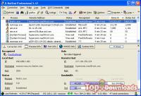 Посмотреть скриншот X-NetStat Professional