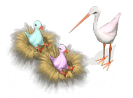 ���������� �������� �������� ����