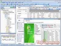 Посмотреть скриншот EMS SQL Manager for PostgreSQL