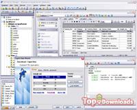 Посмотреть скриншот EMS SQL Manager for MySQL Freeware