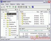 Посмотреть скриншот DMDE (DM Disk Editor and Data Recovery)