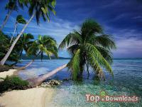 ���������� �������� dArt Tropical Islands vol.1