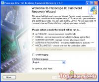 Посмотреть скриншот Internet Explorer Password Recovery