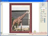 Посмотреть скриншот Image Frame