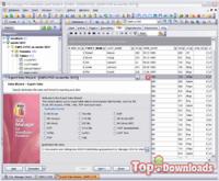 Посмотреть скриншот EMS SQL Manager for InterBase/Firebird Freeware