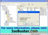 Посмотреть скриншот IsoBuster