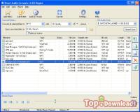 Посмотреть скриншот Direct Audio Converter and CD Ripper