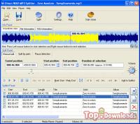 Посмотреть скриншот Pistonsoft MP3 Tags Editor