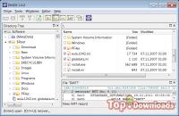 Посмотреть скриншот DMDE - DM Disk Editor and Data Recovery